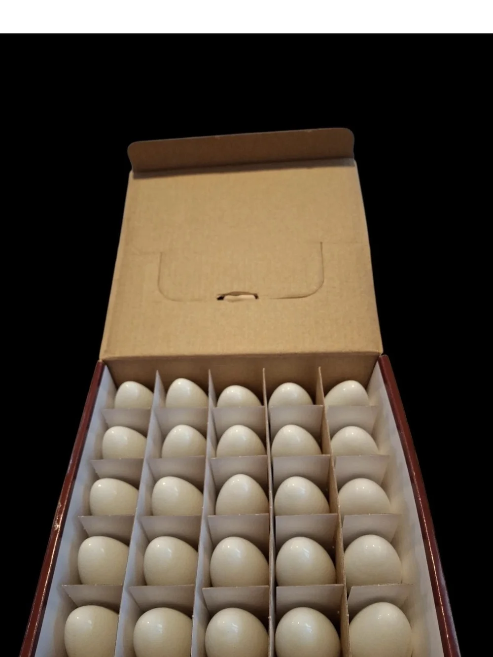 C9 Incandescent Bulbs 25ct - White Bulbs